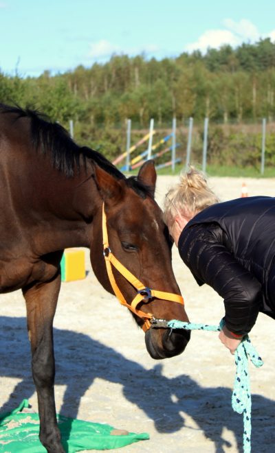Akademia JA - Kobieta głaszcząca konia podczas przerwy na szkoleniach dla pracowników i menedżerów Gdańsk.